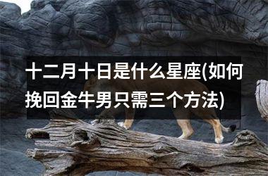 <h3>十二月十日是什么星座(如何挽回金牛男只需三个方法)