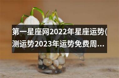 第一星座网2025年星座运势(测运势2025年运势免费周易)