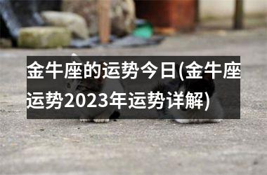 <h3>金牛座的运势今日(金牛座运势2025年运势详解)