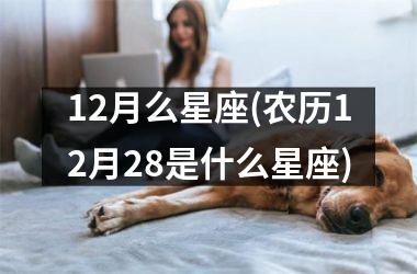<h3>12月么星座(农历12月28是什么星座)