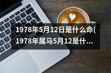 <h3>1978年5月12日是什么命(1978年属马5月12是什么命)