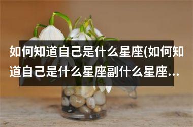 <h3>如何知道自己是什么星座(如何知道自己是什么星座副什么星座)