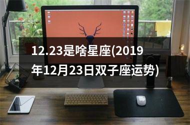 <h3>12.23是啥星座(2019年12月23日双子座运势)