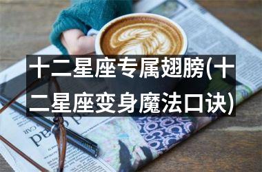 <h3>十二星座专属翅膀(十二星座变身魔法口诀)