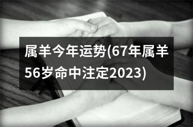 <h3>属羊今年运势(67年属羊56岁命中注定2025)