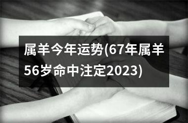 属羊今年运势(67年属羊56岁命中注定2023)