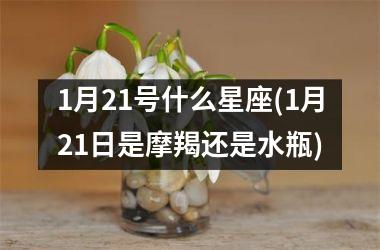 <h3>1月21号什么星座(1月21日是摩羯还是水瓶)