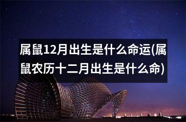 <h3>属鼠12月出生是什么命运(属鼠农历十二月出生是什么命)