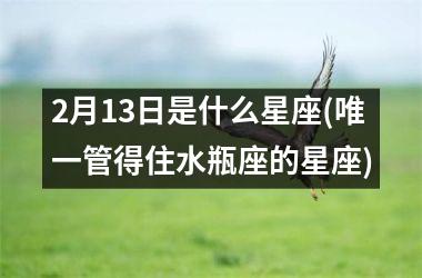 <h3>2月13日是什么星座(唯一管得住水瓶座的星座)