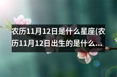 <h3>农历11月12日是什么星座(农历11月12日出生的是什么星座)