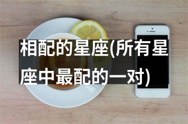 <h3>相配的星座(所有星座中最配的一对)