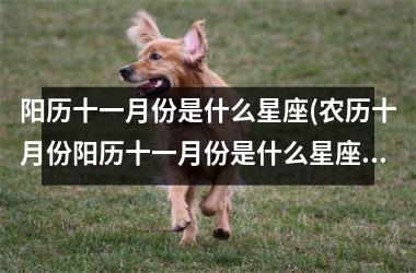 <h3>阳历十一月份是什么星座(农历十月份阳历十一月份是什么星座)