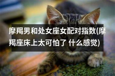 <h3>摩羯男和处女座女配对指数(摩羯座床上太可怕了 什么感觉)