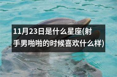 <h3>11月23日是什么星座(射手男啪啪的时候喜欢什么样)