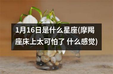 1月16日是什么星座(摩羯座床上太可怕了 什么感觉)
