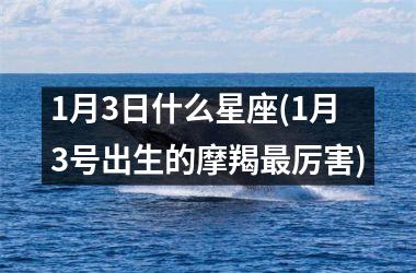 <h3>1月3日什么星座(1月3号出生的摩羯最厉害)