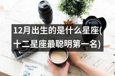 <h3>12月出生的是什么星座(十二星座最聪明第一名)