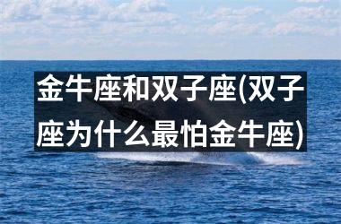 <h3>金牛座和双子座(双子座为什么最怕金牛座)