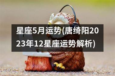 <h3>星座5月运势(唐绮阳2025年12星座运势解析)
