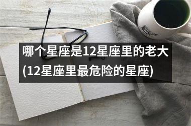 <h3>哪个星座是12星座里的老大(12星座里最危险的星座)