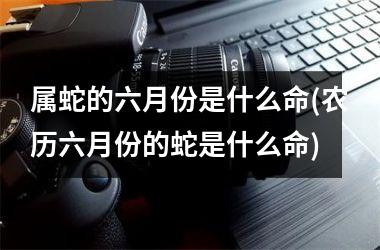 <h3>属蛇的六月份是什么命(农历六月份的蛇是什么命)
