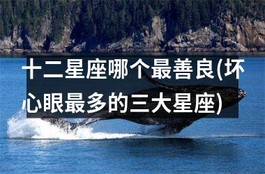 <h3>十二星座哪个最善良(坏心眼最多的三大星座)