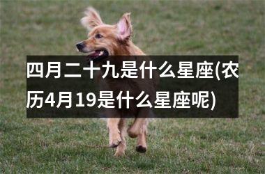 <h3>四月二十九是什么星座(农历4月19是什么星座呢)