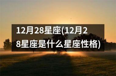 <h3>12月28星座(12月28星座是什么星座性格)