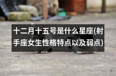 <h3>十二月十五号是什么星座(射手座女生性格特点以及弱点)