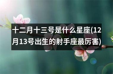 <h3>十二月十三号是什么星座(12月13号出生的射手座最厉害)