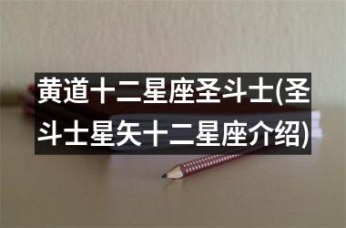 黄道十二星座圣斗士(圣斗士星矢十二星座介绍)