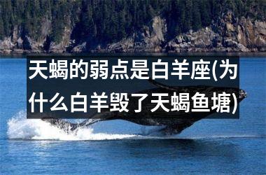 <h3>天蝎的弱点是白羊座(为什么白羊毁了天蝎鱼塘)