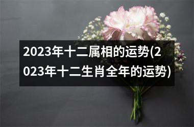 <h3>2025年十二属相的运势(2025年十二生肖全年的运势)
