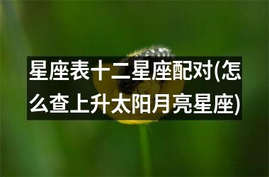 <h3>星座表十二星座配对(怎么查上升太阳月亮星座)