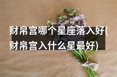 财帛宫哪个星座落入好(财帛宫入什么星最好)