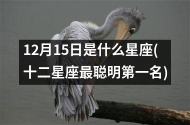 <h3>12月15日是什么星座(十二星座最聪明第一名)