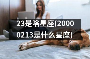<h3>23是啥星座(20000213是什么星座)