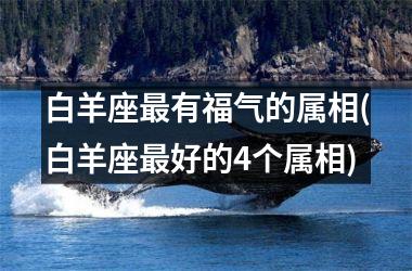 <h3>白羊座最有福气的属相(白羊座最好的4个属相)