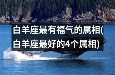 白羊座最有福气的属相(白羊座最好的4个属相)