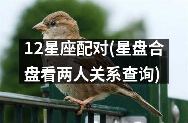 <h3>12星座配对(星盘合盘看两人关系查询)
