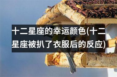 <h3>十二星座的幸运颜色(十二星座被扒了衣服后的反应)