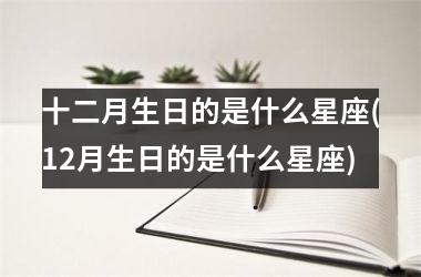 十二月生日的是什么星座(12月生日的是什么星座)