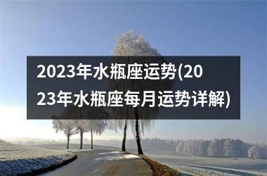 <h3>2025年水瓶座运势(2025年水瓶座每月运势详解)