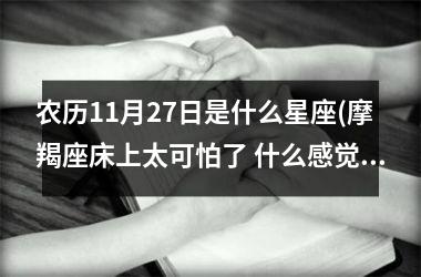 农历11月27日是什么星座(摩羯座床上太可怕了 什么感觉)