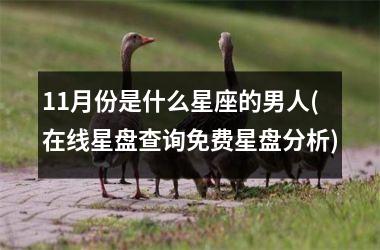 <h3>11月份是什么星座的男人(在线星盘查询免费星盘分析)