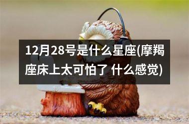 <h3>12月28号是什么星座(摩羯座床上太可怕了 什么感觉)
