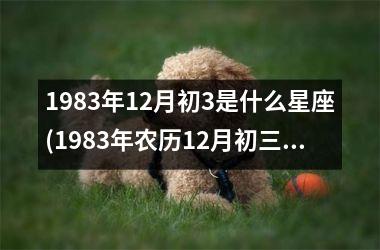 1983年12月初3是什么星座(1983年农历12月初三出生是什么命)