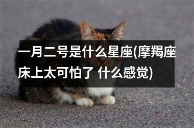 <h3>一月二号是什么星座(摩羯座床上太可怕了 什么感觉)