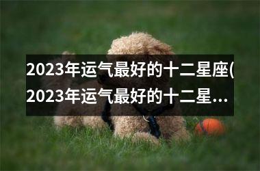 <h3>2025年运气最好的十二星座(2025年运气最好的十二星座排行榜)