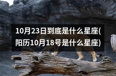 <h3>10月23日到底是什么星座(阳历10月18号是什么星座)